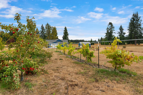 18507 Sargent Rd, Rochester, WA - Upgrade Realty154