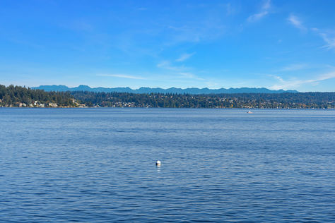 10500 Riviera Pl NE, Seattle, WA - Upgrade Realty36