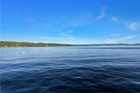 10500 Riviera Pl NE, Seattle, WA - Upgrade Realty50