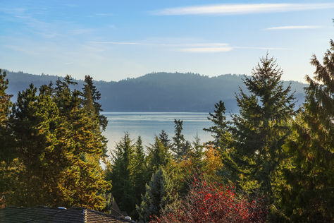 20230 NE 18th Pl, Sammamish, WA - Upgrade Realty41