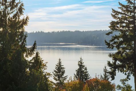 20230 NE 18th Pl, Sammamish, WA - Upgrade Realty42