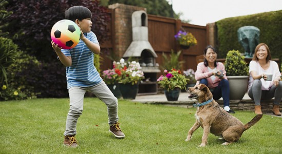 Kid playing ball with dog while 2 woman watching