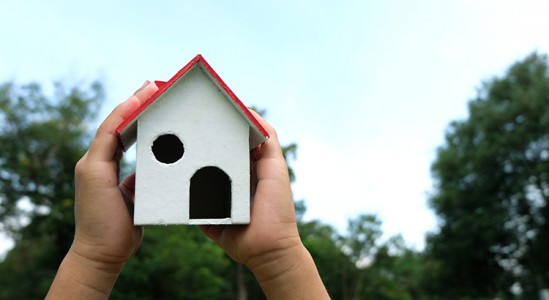 Hands holding a toy house