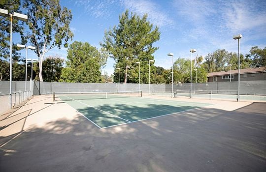 Lawn tennis area