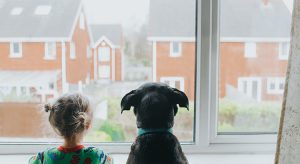 A Young girl and a black dog looking out a window onto houses.