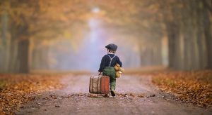 Little boy walking in the forest with suitcase in his hands