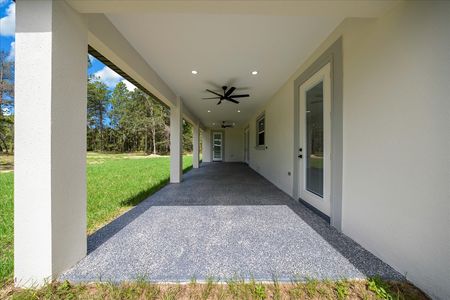 back patio