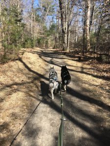 Get outdoors on the north shore