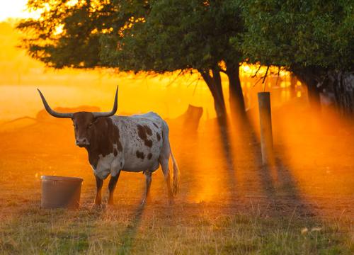 daniel-lloyd-blunk-fernandez-l5iHZwil9m4-unsplash