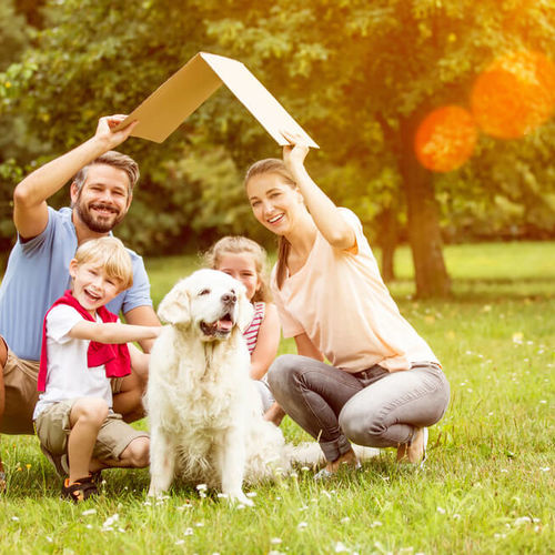 Important Central Texas Homestead Exemption Information