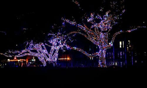 December 2025 in Bell County, TX: Holiday Sparkle, Community Events &hellip;