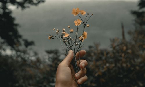 November 2025 in Bell County, TX: What’s Happening Around Belton &hellip;