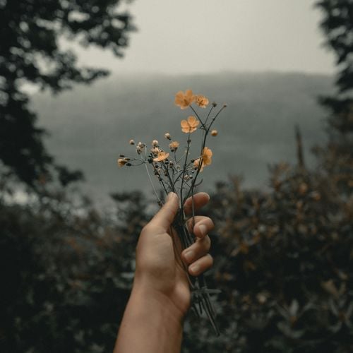 November 2025 in Bell County, TX: What’s Happening Around Belton & Beyond