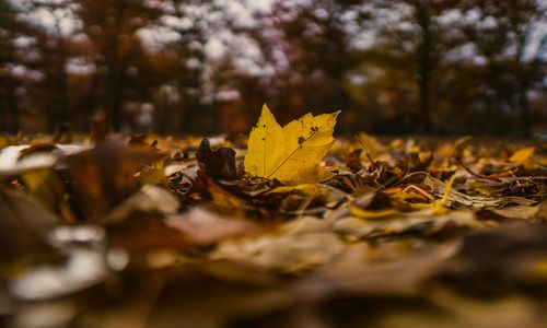 November 2025 Events in Williamson County, TX: Your Jorgenson Group &hellip;