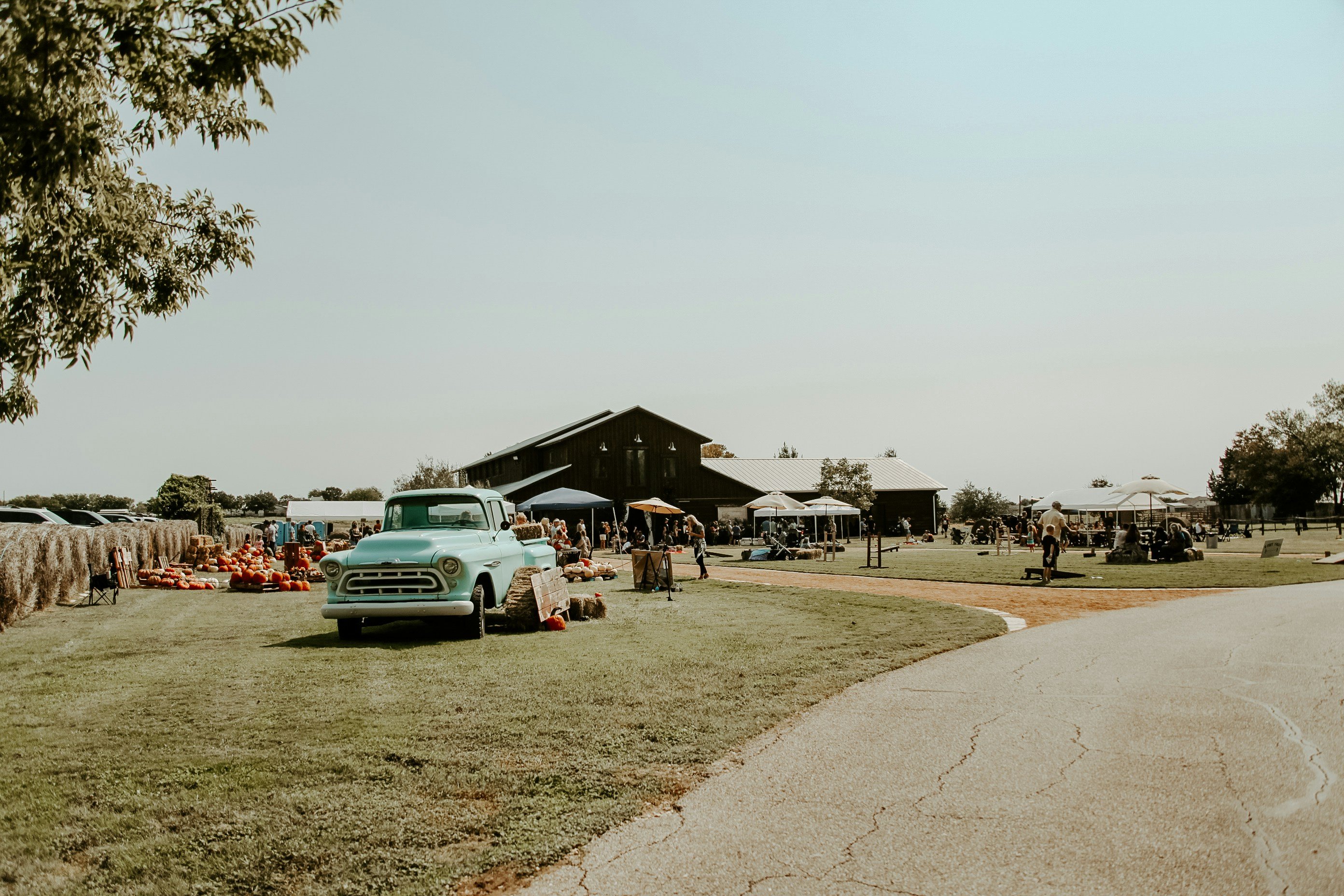 jessie-shaw-beIcJCoXYK0-unsplash