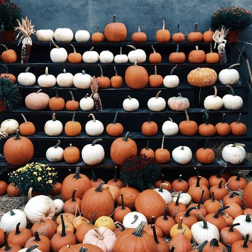 October 2025 in Bell County, TX: Your Jorgenson Group Event Guide