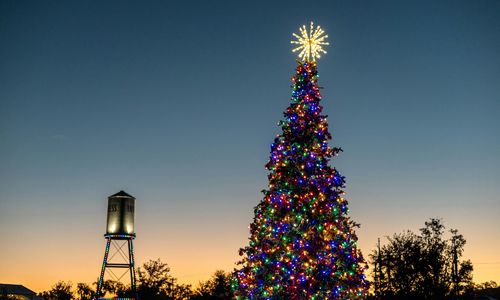 December 2025 in Williamson County, TX: Festive Fun, Holiday Magic & Community Cheer