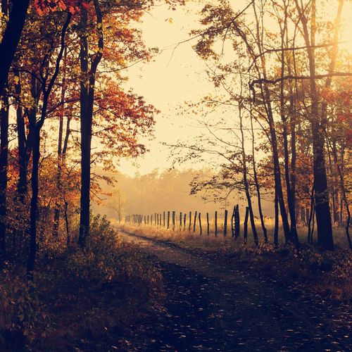 October 2025 in Hays County, TX: Can’t-Miss Events & Local Vibes