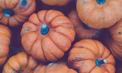 November 2025 in Travis County, TX: Events You Don’t Want &hellip;