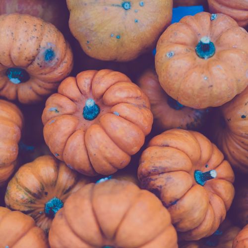 November 2025 in Travis County, TX: Events You Don’t Want to Miss