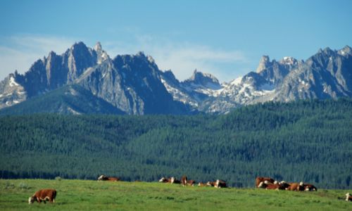 Moving to Idaho from California//Leaving California