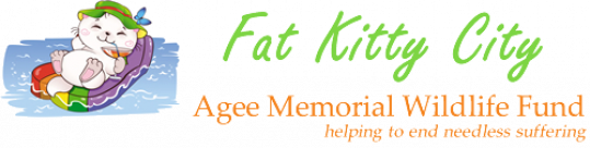Fat Kitty