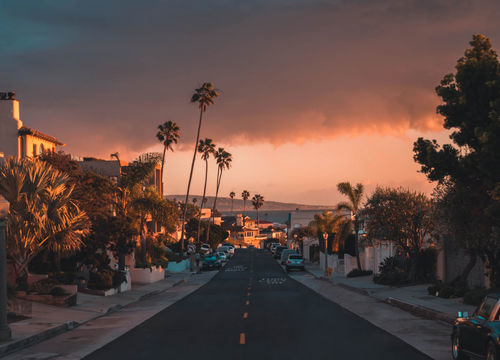 Vidal-Valdez-hero-slides-10