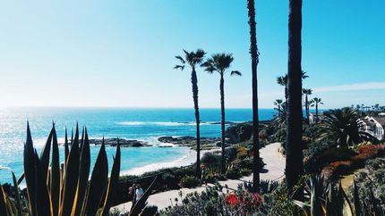 Vidal-Valdez-hero-slides-17