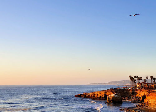 Vidal-Valdez-hero-slides-21