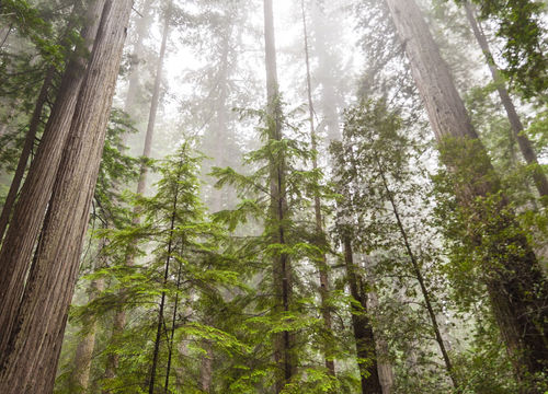 Vidal-Valdez-hero-slides-23