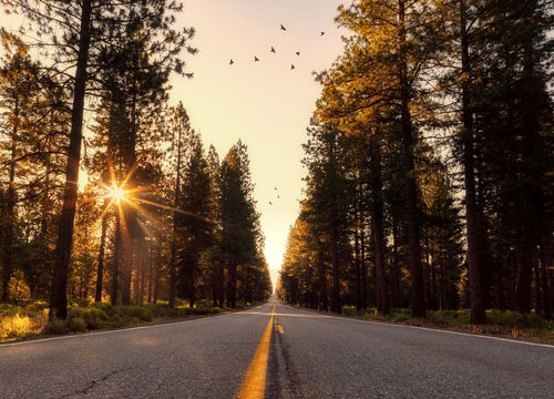 Vidal-Valdez-hero-slides-24