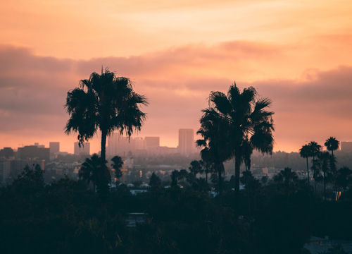 Vidal-Valdez-hero-slides-28