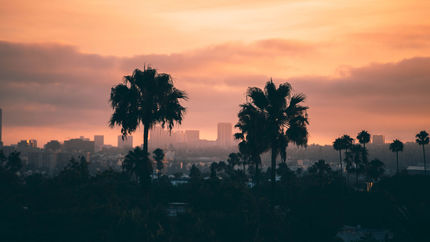 Vidal-Valdez-hero-slides-28