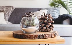 Selling Your Home with an Open House