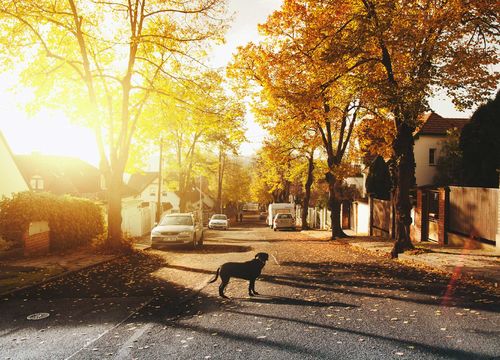 FALLS-CHURCH—pexels-daniel-frank-688835