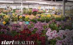 March 2024 Start Healthy Magazine