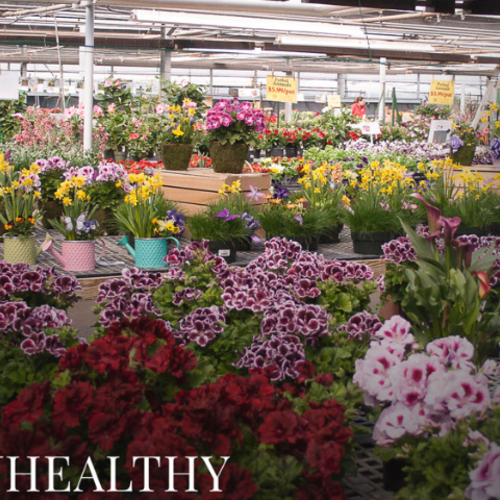 March 2024 Start Healthy Magazine