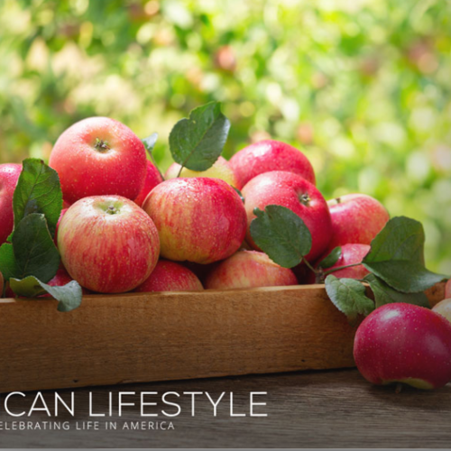 August 2024 American Lifestyle Magazine