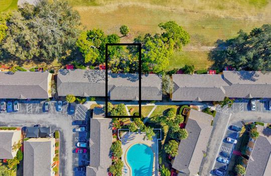 1825 Parakeet from above