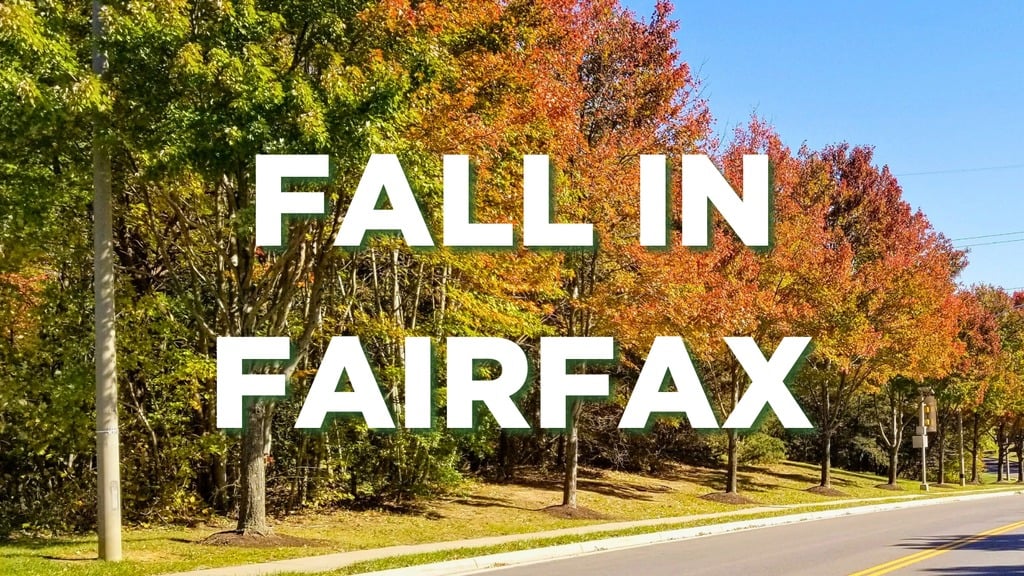 Fall in Fairfax County