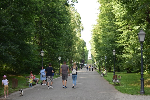 kristina-kutlesa-26jiRi2PUmo-unsplash