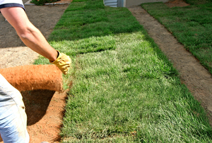 New landscaping