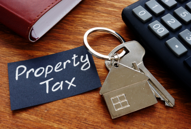 Property Taxes