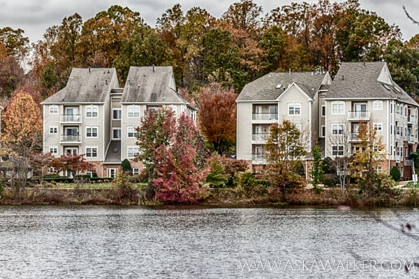 Lake view at Chancery of Kingstowne condominium community