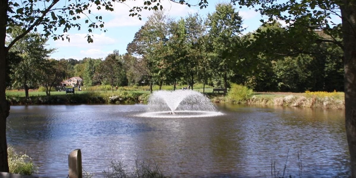 Pond and fountain in Franklin Farm, Virginia