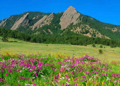 shutterstock_1091580395 1-min