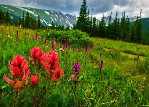 shutterstock_713979280 1-min