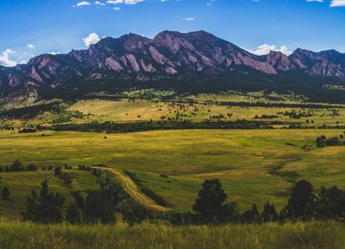 shutterstock_734362375 1-min