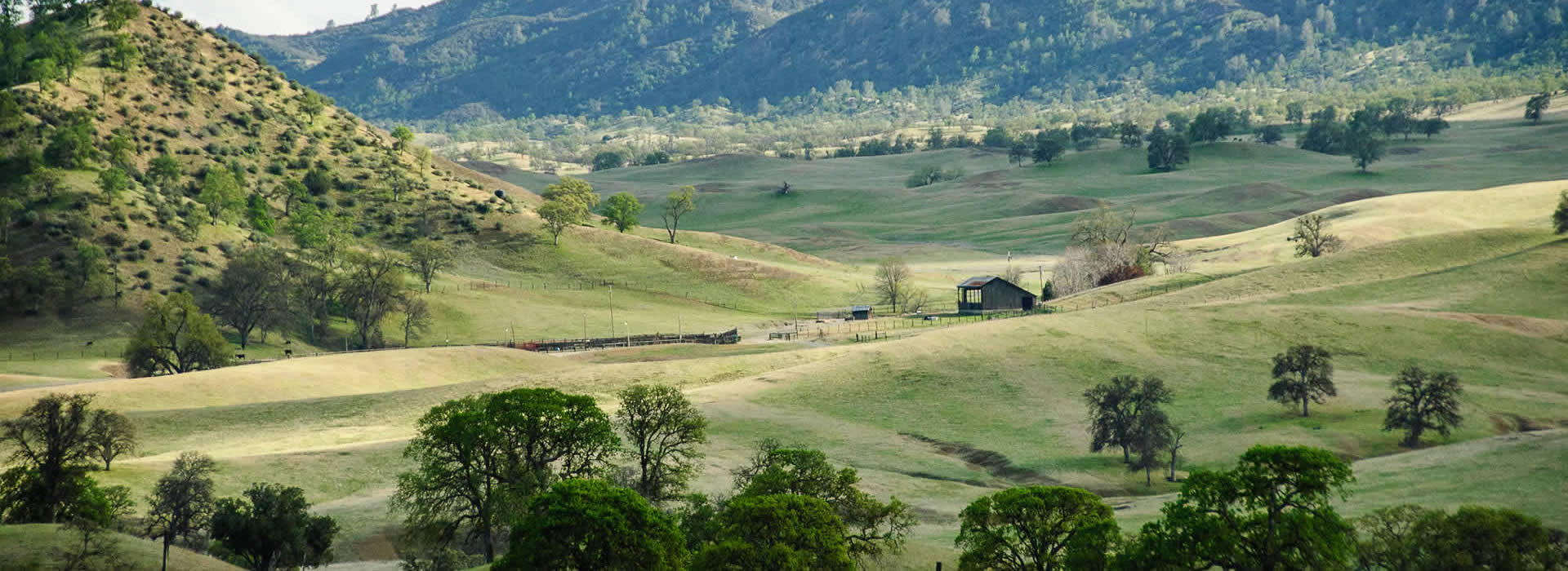 foothill-ranch-a1 - Tim Morissette
