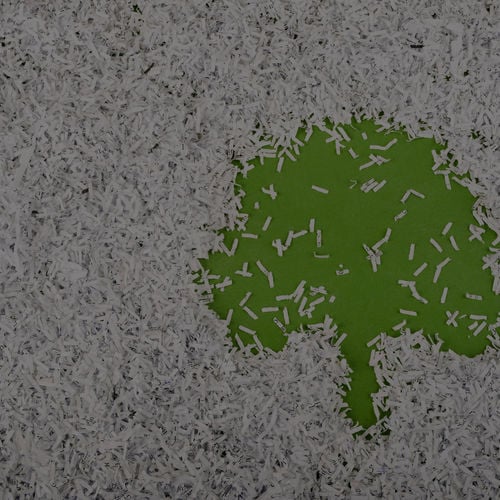 2019 Shredding Event